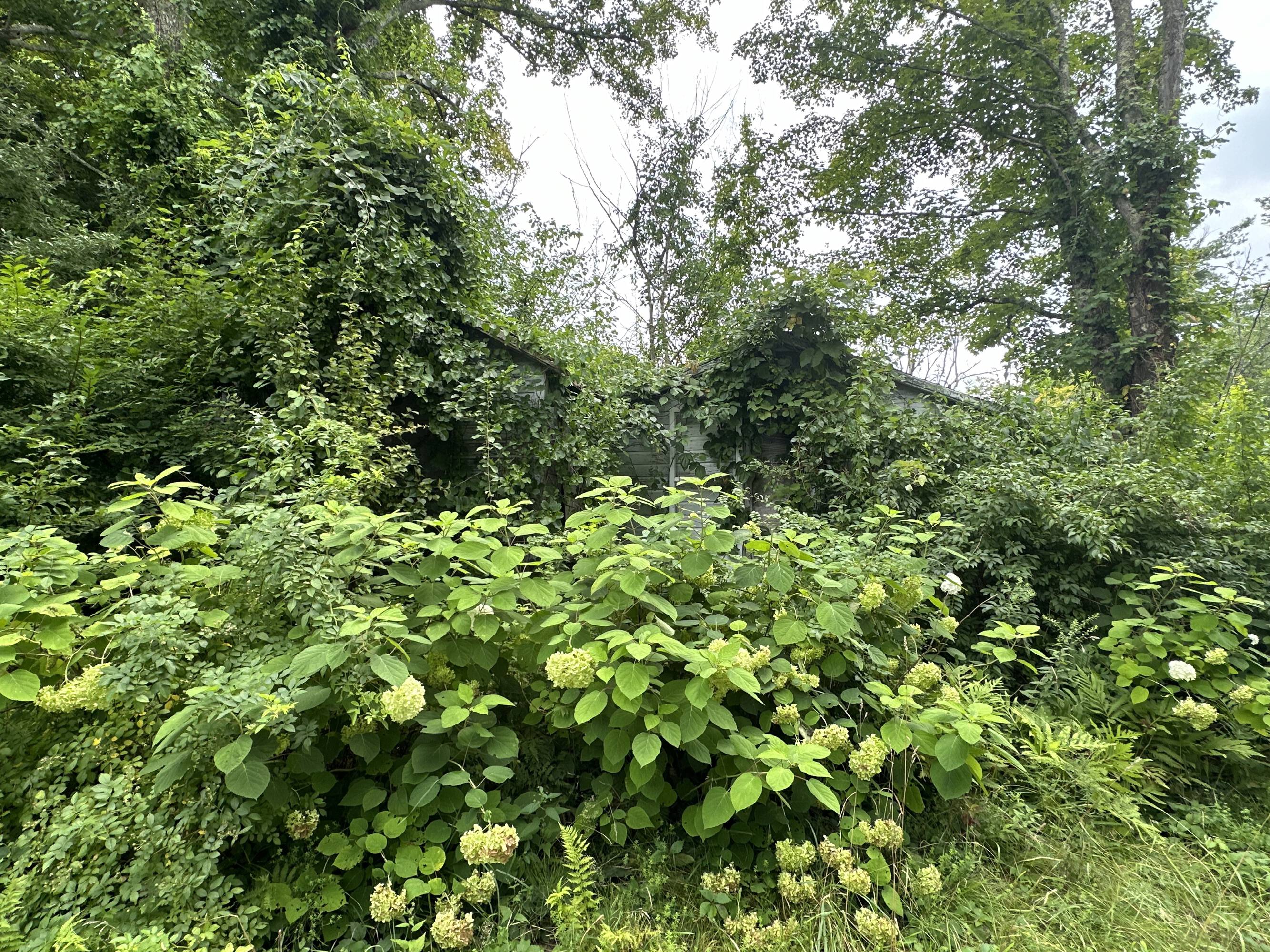 Beautiful residential land